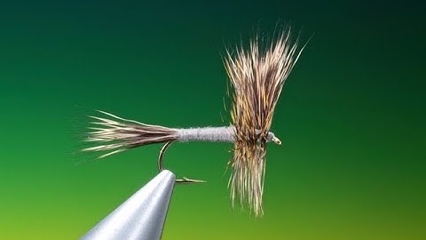 Fly tying for Beginners Hair Wing Dun with Barry Ord Clarke