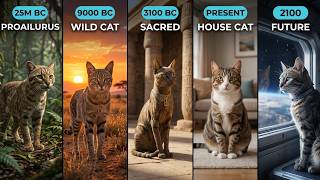 Evolution of Cats — Why Science Says They Were Never Actually Domesticated
