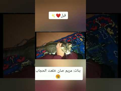 مريم صان التي كانت تحثنا على الدراسة وقراءة القران نجحت بفضل الله ونزعت الحجاب