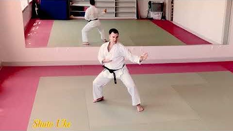 JKA AF 7th KYU KIHON