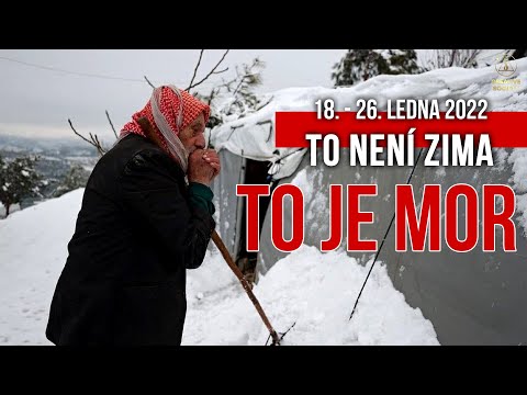 Video: Proč Nizozemci zabíjejí micaha?