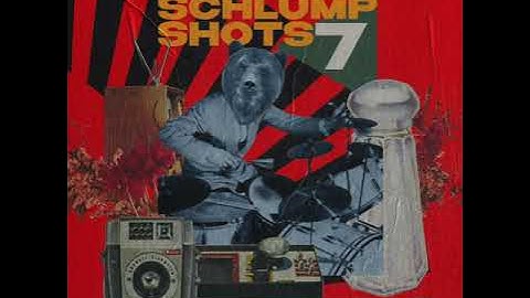 MSXII Sound Design - Schlump Shots Vol. 7 Drum Kit