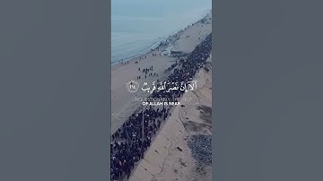 سورة البقرة ايه 214 القارئ الشيخ ياسر الدوسري | القرأن الكريم #القرآن_الكريم