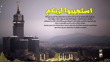 استجيبوا لربكم.. نهاية سورة الشوری بصوت دانر زياد