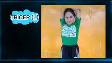 Compilation of Performance Task | PE 1|