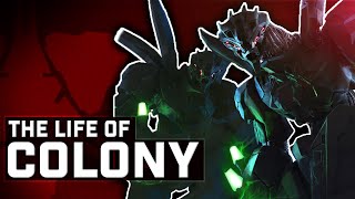 The Life of Colony | Elo Kadu Baqzo & Ndo Kadu Baqzo