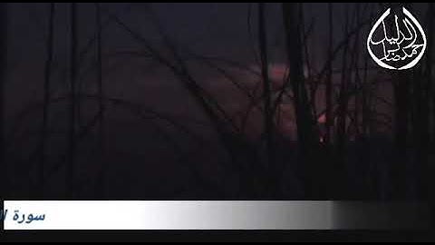 تلاوة_مباركة _ سورة الشمس🌅