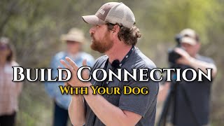The Importance Of Forming A Connection With Your Dog The Shoulders Drill