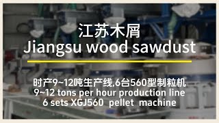 Yulong customer case---Jiangsu wood pellet production line with an output of 9~12 tons per hour