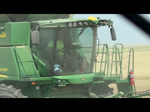 Back and Forth and Back and Forth 4.0 / Day 14 Highwood Montana 2026 Wheat Harvest