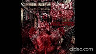 Decrepit Whore - Subjected to Horrendous Acts of Inhumane Torture