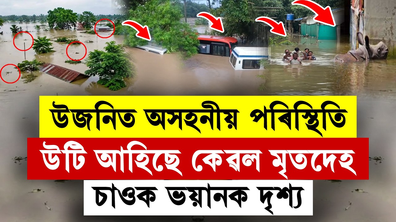 #LIVE | Upper Assam Flood: উজনিত অসহনীয় পৰিস্থিতি! উটি আহিছে কেৱল মৃতদেহ। চাওক ভয়ানক দৃশ্য।