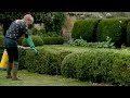 How to KILL Perennial Weeds