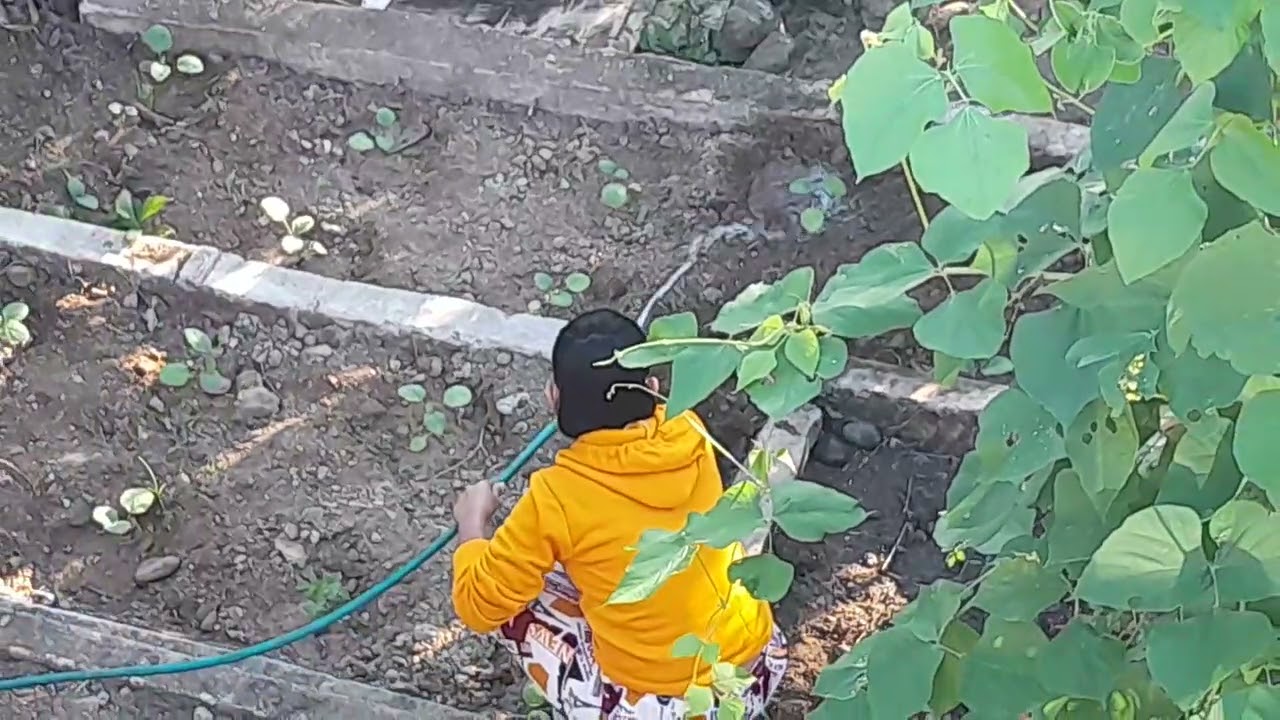 360° Farm Tour: Exploring Turod Farm’s DIY Garden & Lush Crops!