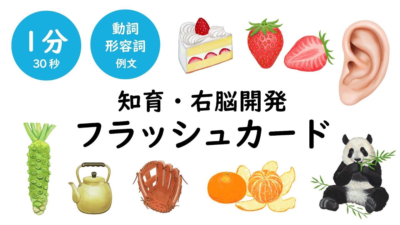 右脳開発MIXフラッシュカード（動詞・形容詞例あり）