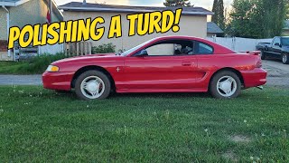 $500 LS Swap Mustang Build Updates & First Mods!