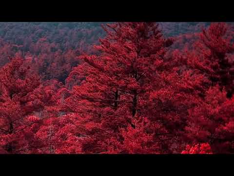 1uster - harder (interlude)