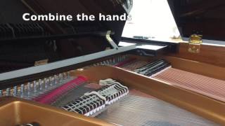 Learning a new Piano Piece screenshot 3