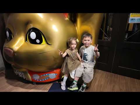 Kyoto - Osaka Travel Day 4 #train #japan