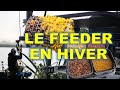 Pche au feeder en hiver  cest aussi cela  