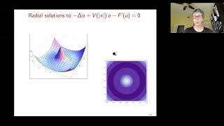 Functional Inequalities and Improvements: Stability - Part 1