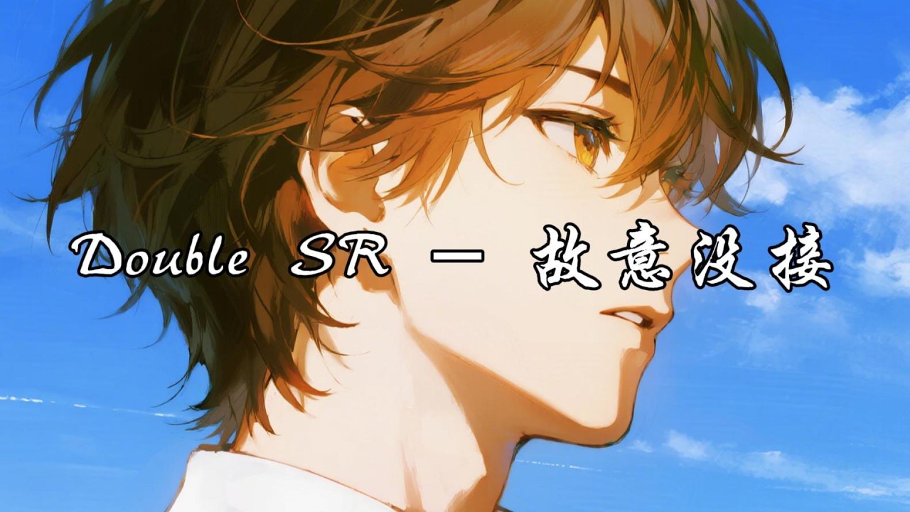 Double SR - 故意没接『感情就像金子，你比我更清的楚。』【动态歌词MV】