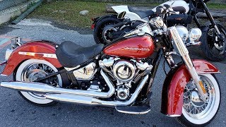 2019 Harley Softail Deluxe FLDE demo ride