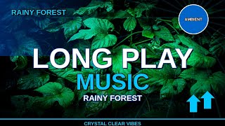 Cosmic Ambient - Rainy Forest 4K | Peaceful Work 4 min