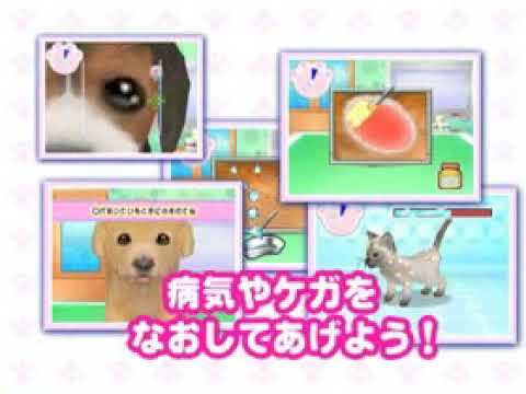 わんニャンどうぶつ病院