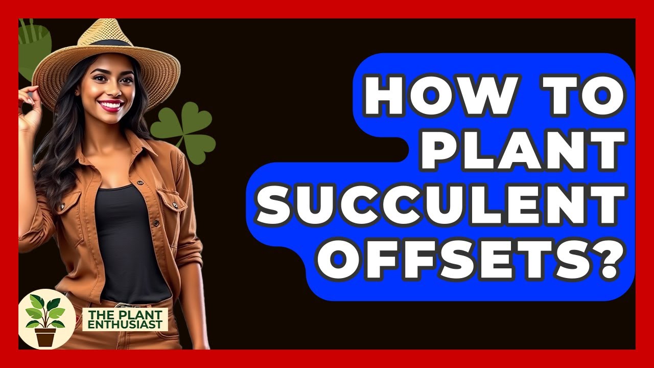 How To Plant Succulent Offsets? - The Plant Enthusiast