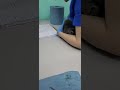 Серый Букет 1 #cat заболели Чихают и сопли