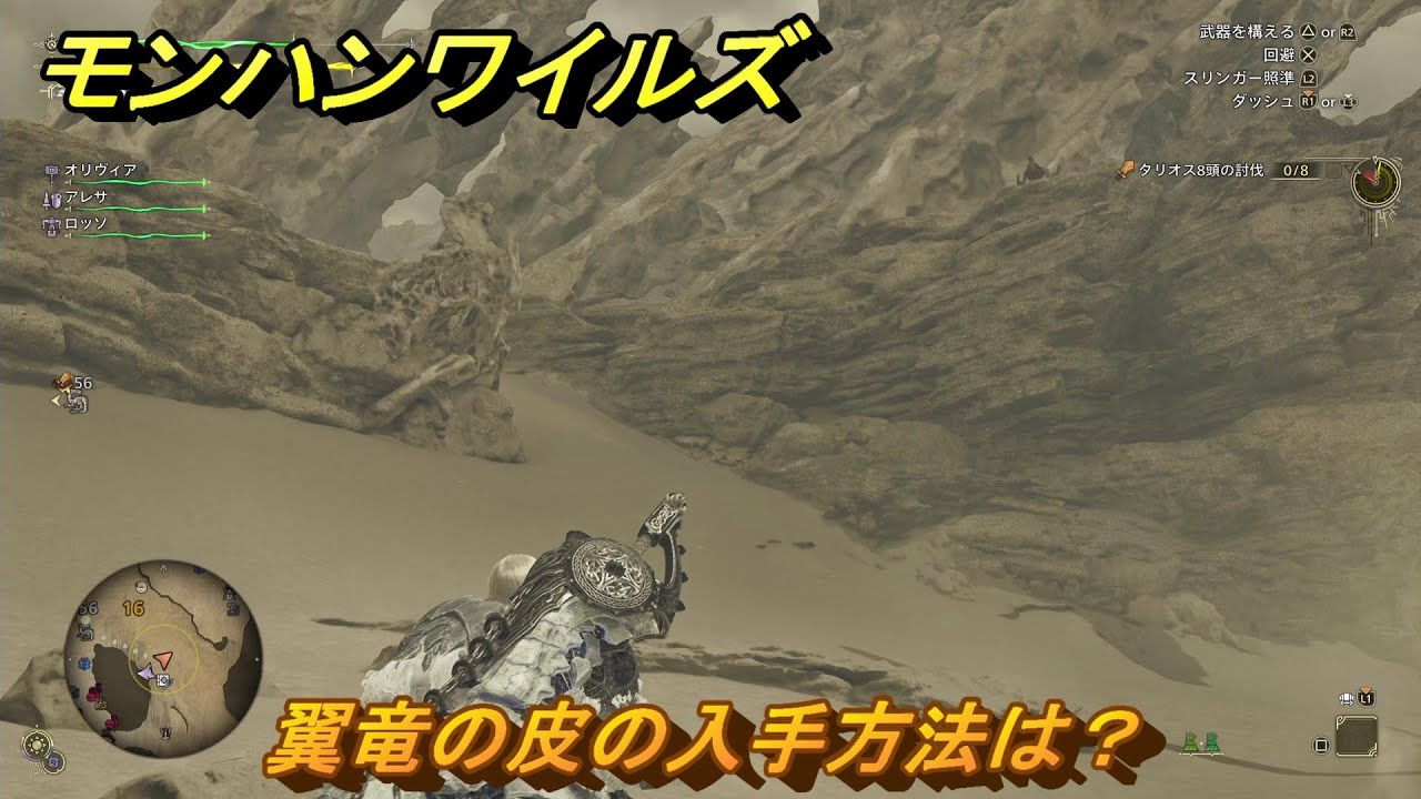 翼 竜 の 皮