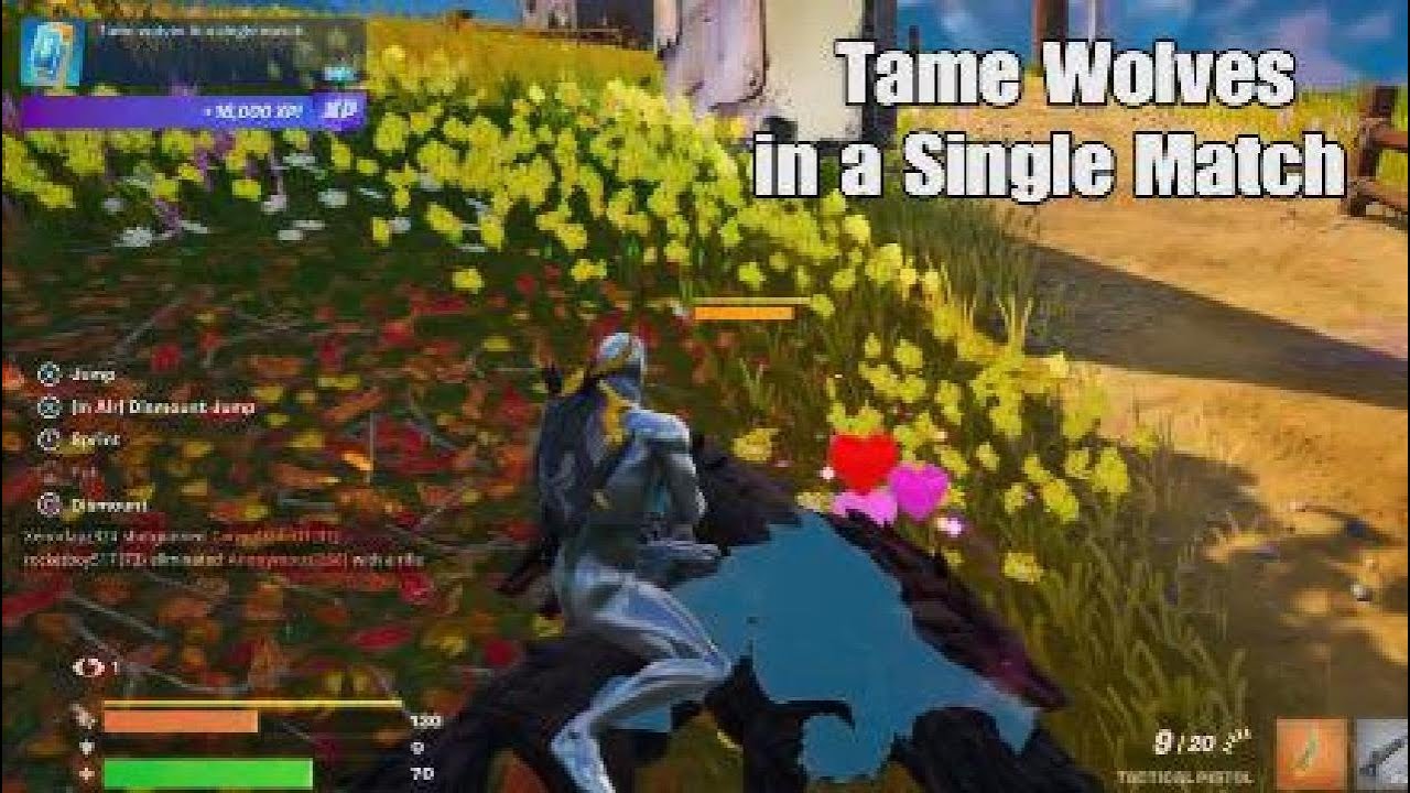 Tame Wolves in a Single Match - Fortnite Discover the Seasons Quest - Chapter 4 Season 1