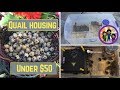 Quail Housing for Under $50