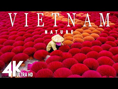Video: Vietnami Veiselihasupp
