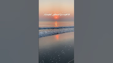 #قران_كريم #قرآن #سورة_مريم #راحة_نفسية #suratmaryam #quran