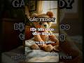 GẤU TEDDY – Món Quà Cảm Động Từ Một Tổng Thống Có Trái Tim Nhân Hậu 🧸 #shorts
