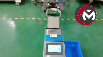 automatic buttons weighing counting packing machine | buttons bagging machine