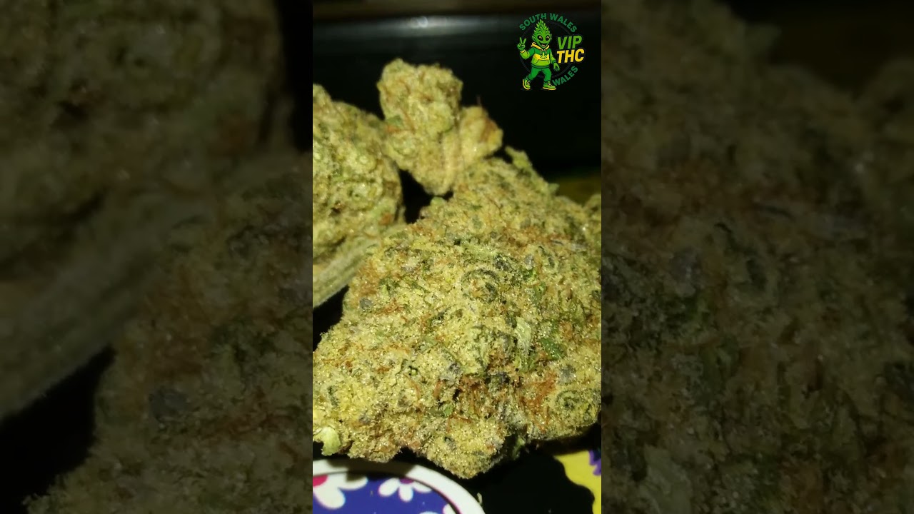 Upstate Pineapple God T28,sweet,spicy pineapples,check the comments 