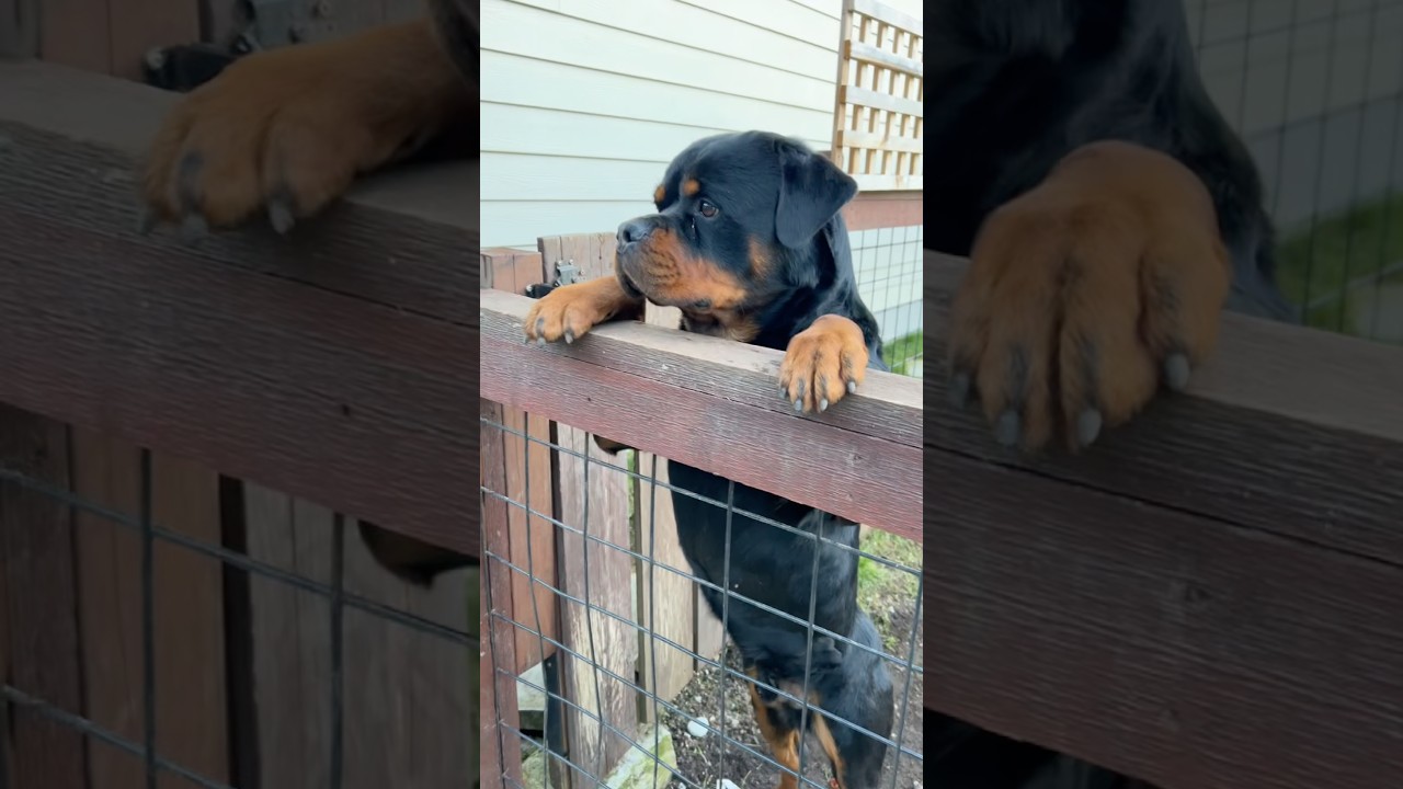 Ваш учитель математики 