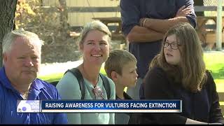 Birds of Prey teaches about declining vulture populations