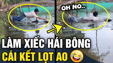 Những tình huống hài hước 