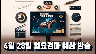 | 4월 28일 일요경마 | 서울 부산 경마 예상 방송 | 중고배당 전문가 No.1 마테크 | 어려운 경마 이겨봅시다