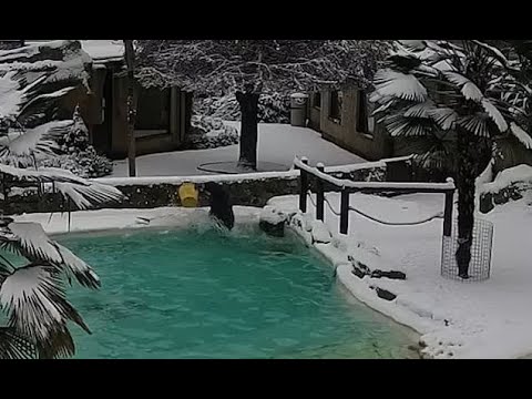 Penguin keeper slips