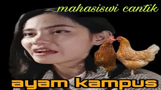 #mahasiswi : pengakuan mahasiswi cantik , Ayam kampus