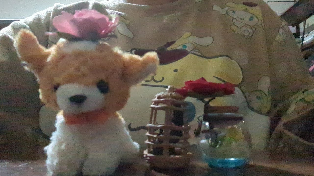 近くにあった物でASMR/No talking