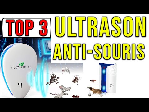 Vidéo: Répulsifs Pour Souris : Appareils à Ultrasons Et Autres Appareils électroniques émettant Un Son Qui Repousse Les Rats. Laquelle Est La Meilleure Pour La Maison ? Leomax Et Autres M