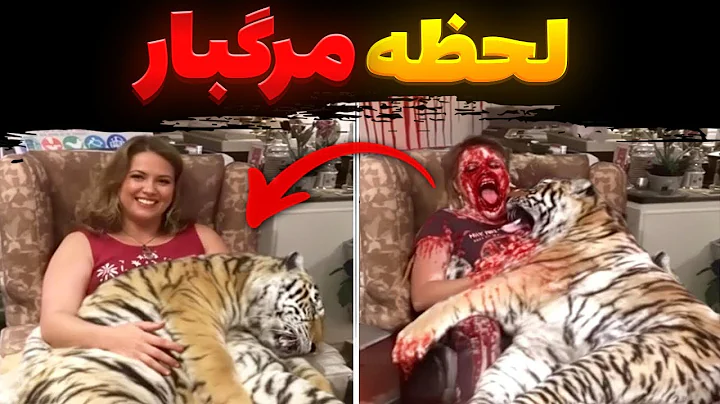 10 حمله واقعی حیوانات خانگی که به قتل صاحبان‌شون ختم شد! هشدار: واقعیه