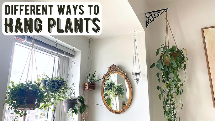 Hanging Houseplants With NO Hardware — 100% Renter Friendly! 