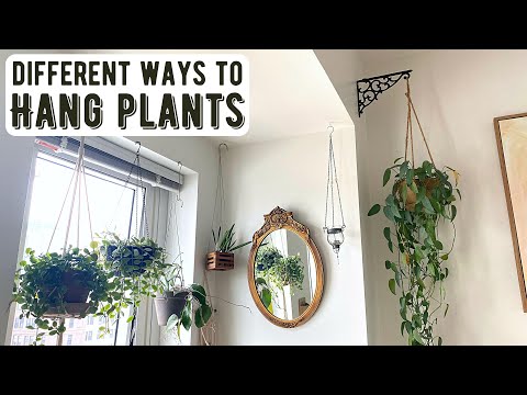 Video: Potted Tree Idea Inside LA Home hængende fra loftet